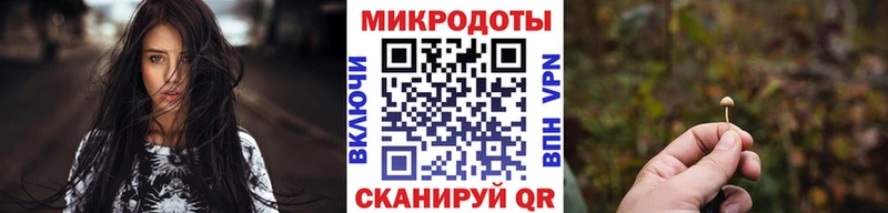 Псилоцибиновые грибы Cubensis  где продают наркотики  Железногорск 