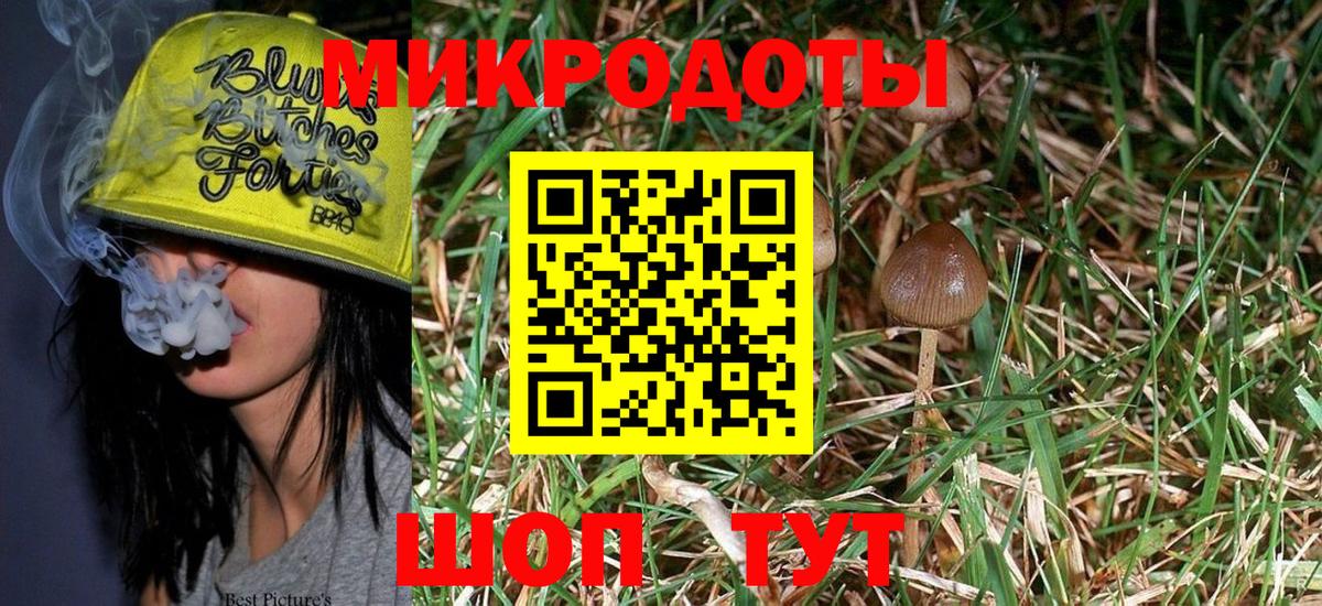 Псилоцибиновые грибы MAGIC MUSHROOMS Железногорск