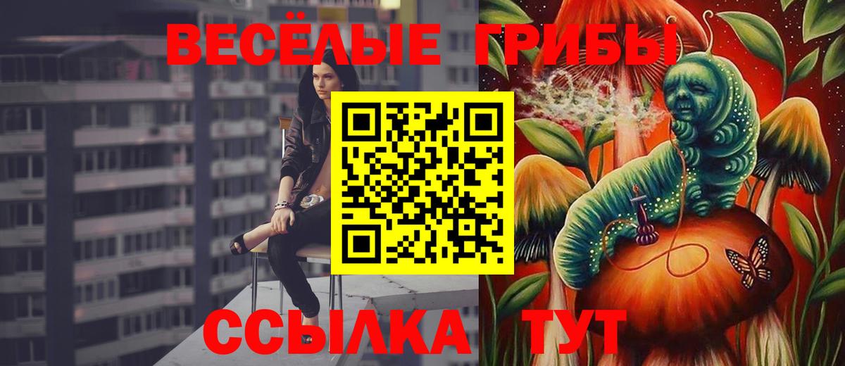 Псилоцибиновые грибы GOLDEN TEACHER  Вход с VPN  Железногорск 